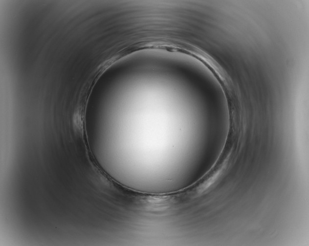 X0000089660857200707051528