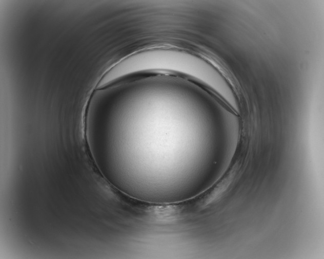 X0000089660858200707051528