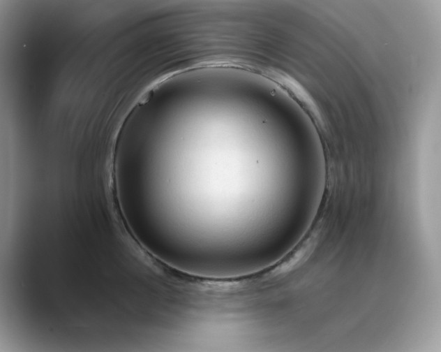 X0000089660860200707051528