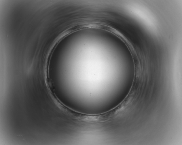 X0000089660861200707051528