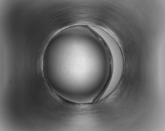 X0000089660862200707051528