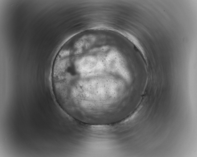 X0000089660863200707051528