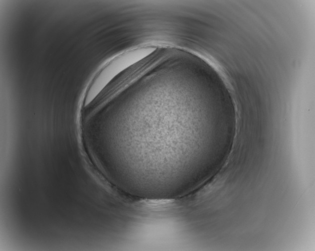 X0000089660864200707051528