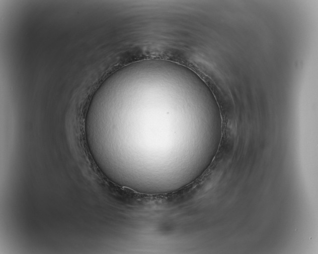 X0000089660865200707051528