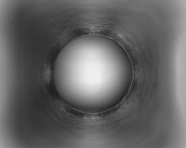 X0000089660866200707051528