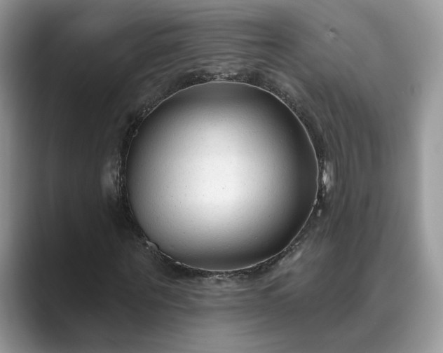 X0000089660867200707051528