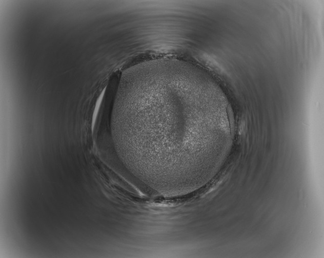 X0000089660868200707051528