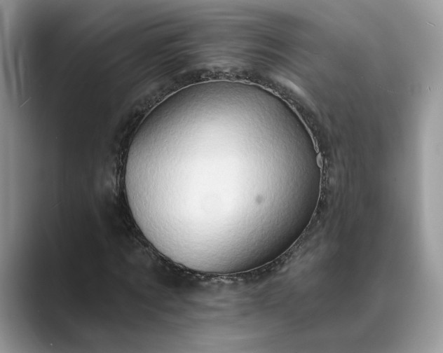 X0000089660869200707051528