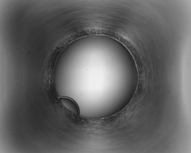 X0000089660870200707051528