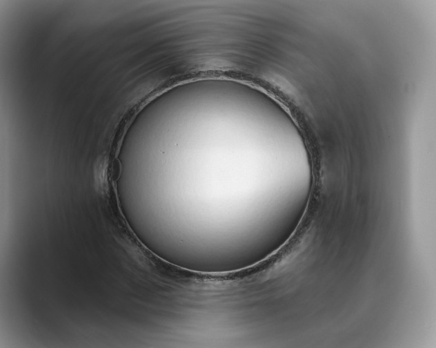 X0000089660873200707051528