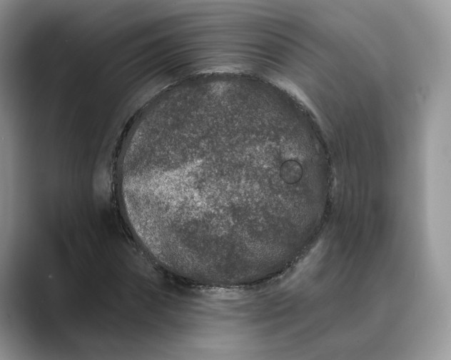 X0000089660874200707051528