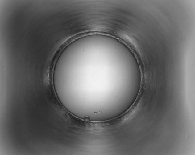 X0000089660875200707051528