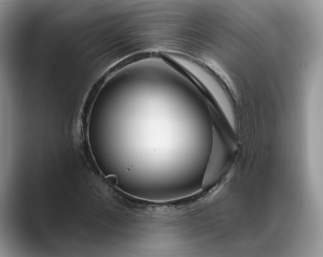 X0000089660876200707051528