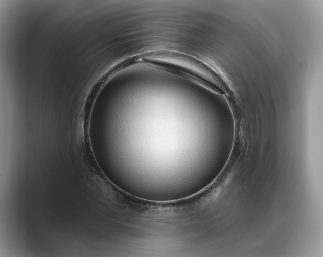 X0000089660877200707051528