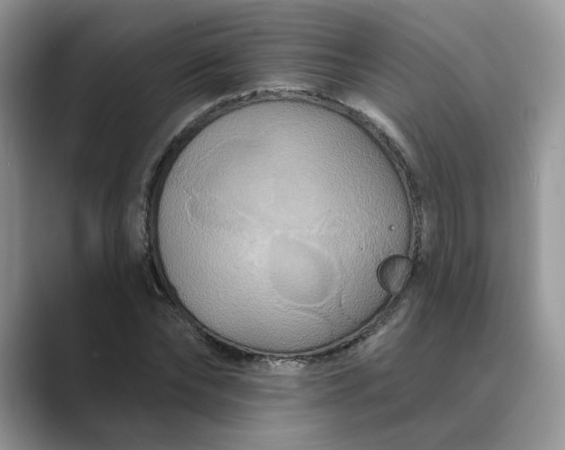 X0000089660878200707051528