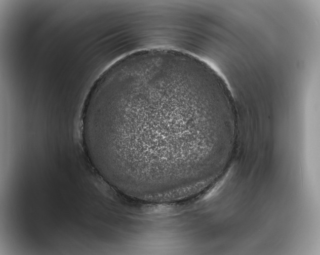 X0000089660879200707051528