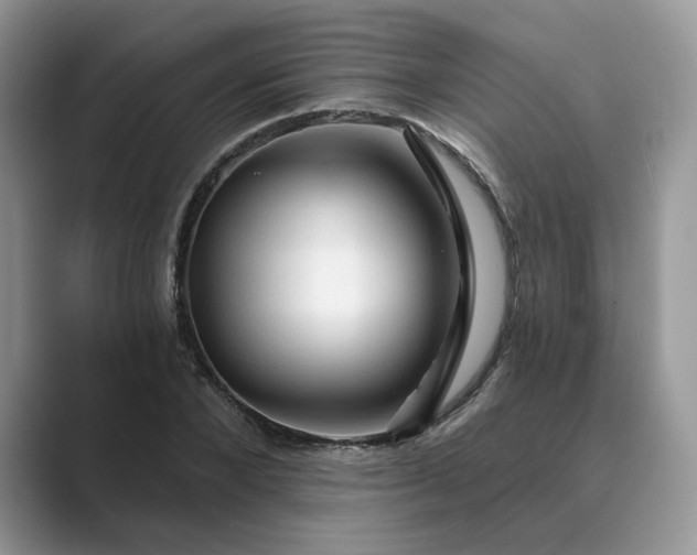 X0000089660880200707051528