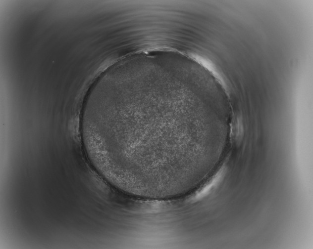 X0000089660881200707051528