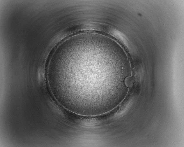 X0000089660882200707051528