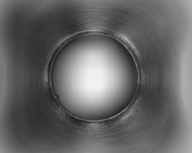 X0000089660883200707051528