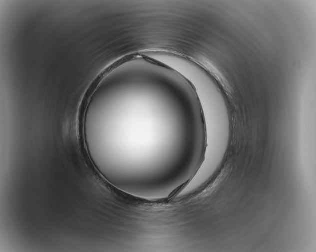 X0000089660884200707051528