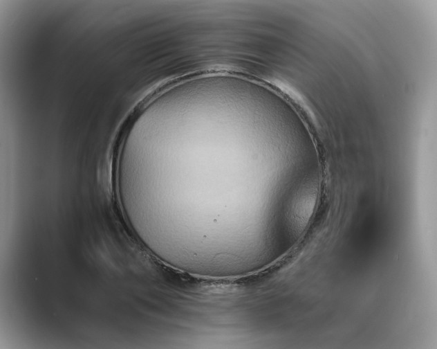 X0000089660886200707051528