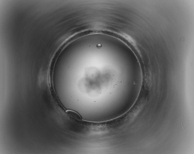 X0000089660887200707051528