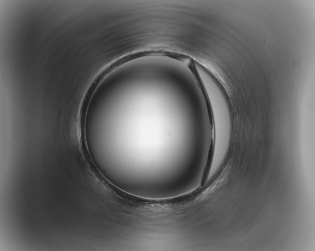 X0000089660888200707051528