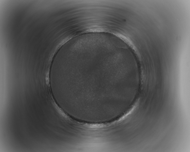 X0000089660889200707051528