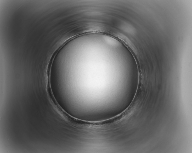 X0000089660890200707051528