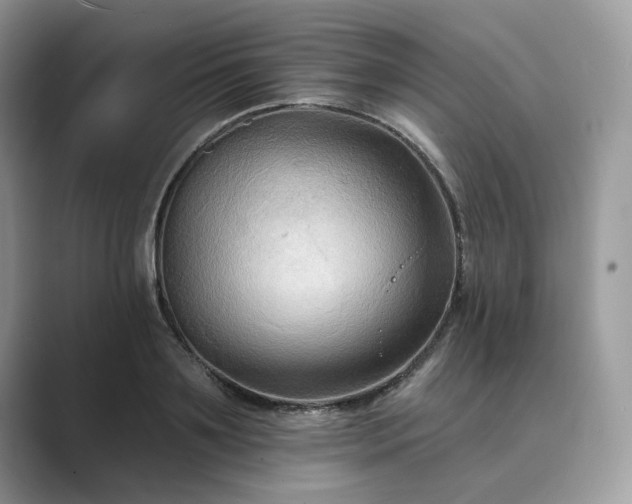 X0000089660891200707051528