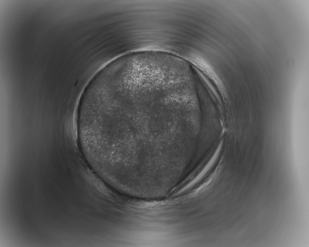 X0000089660892200707051528