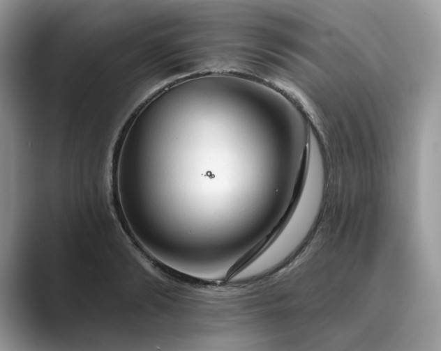 X0000089660894200707051528