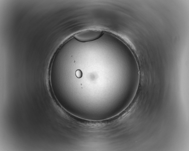 X0000089660895200707051528