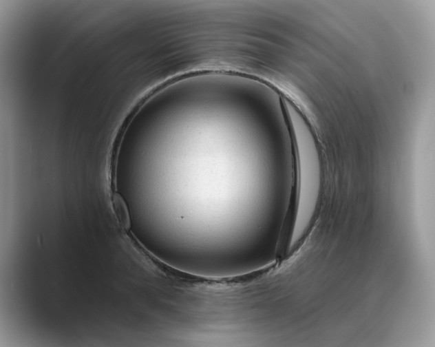 X0000089660896200707051528