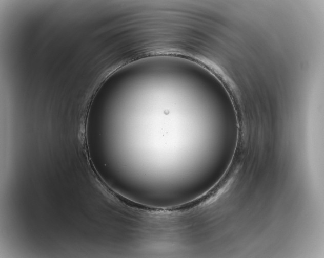 X0000089660897200707051528