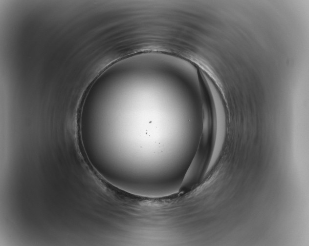 X0000089660898200707051527