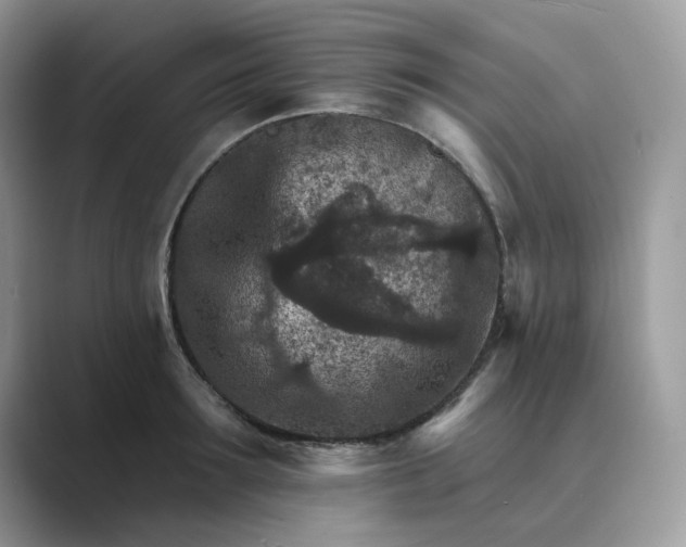 X0000089660899200707051527