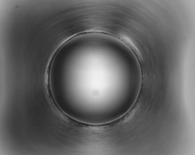 X0000089660900200707051527