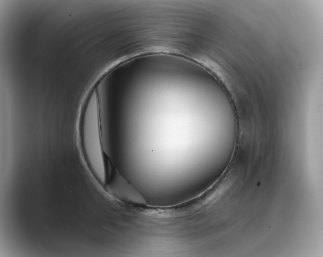 X0000089660902200707051527