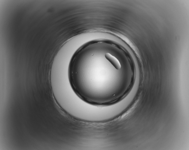 X0000089660905200707051527