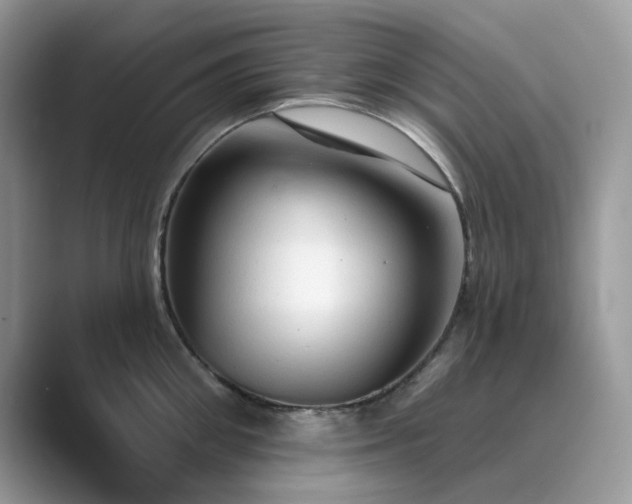 X0000089660906200707051527