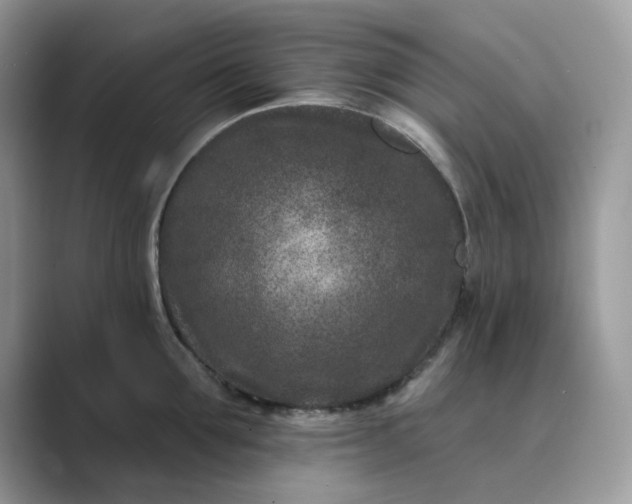 X0000089660907200707051527