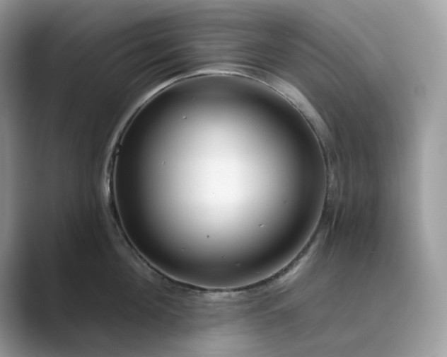 X0000089660908200707051527