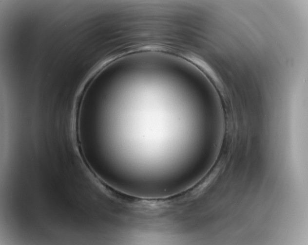 X0000089660910200707051527