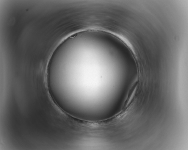 X0000089660911200707051527