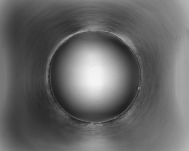 X0000089660912200707051527