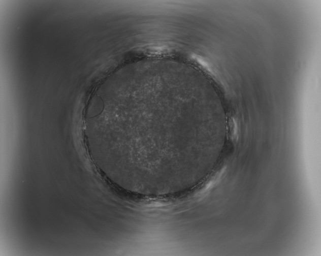 X0000089660913200707051527