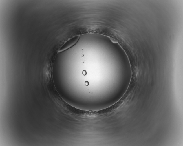 X0000089660914200707051527