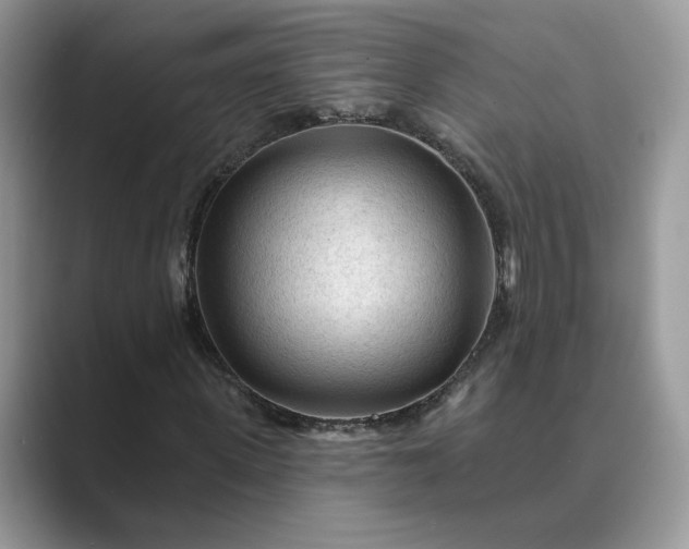 X0000089660915200707051527